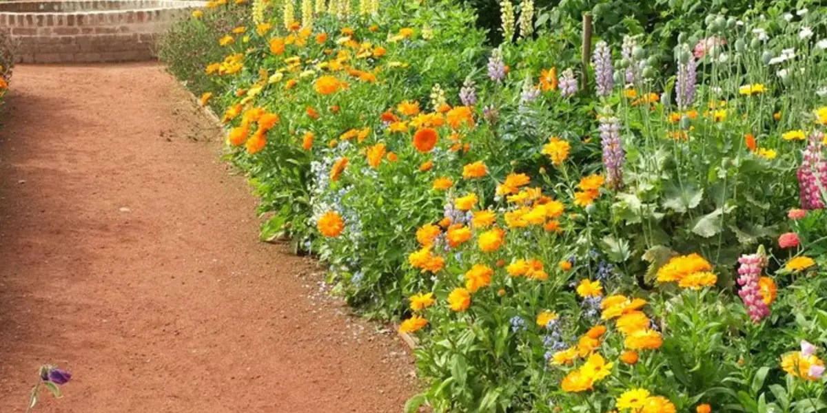 Circular from Packwood House near Dorridge