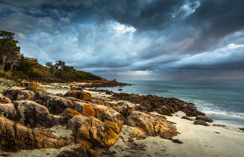 Meelup Reserve Trail