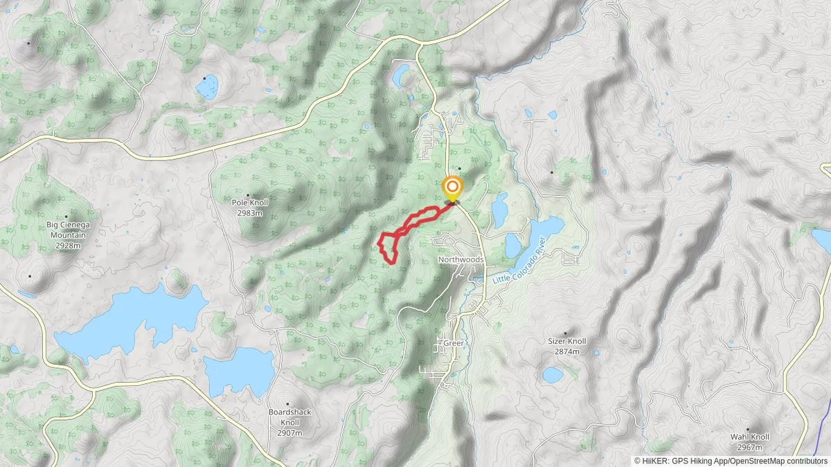 Squirrel Spring and Ponderosa Loop