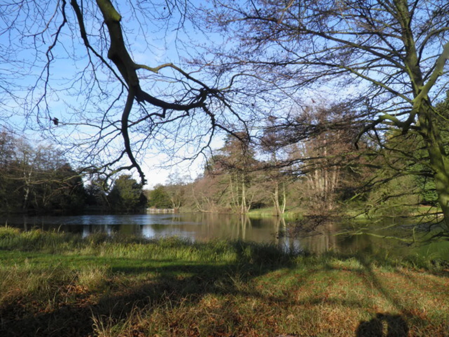 An image depicting the trail Woburn Park Walk and its surrounding area.