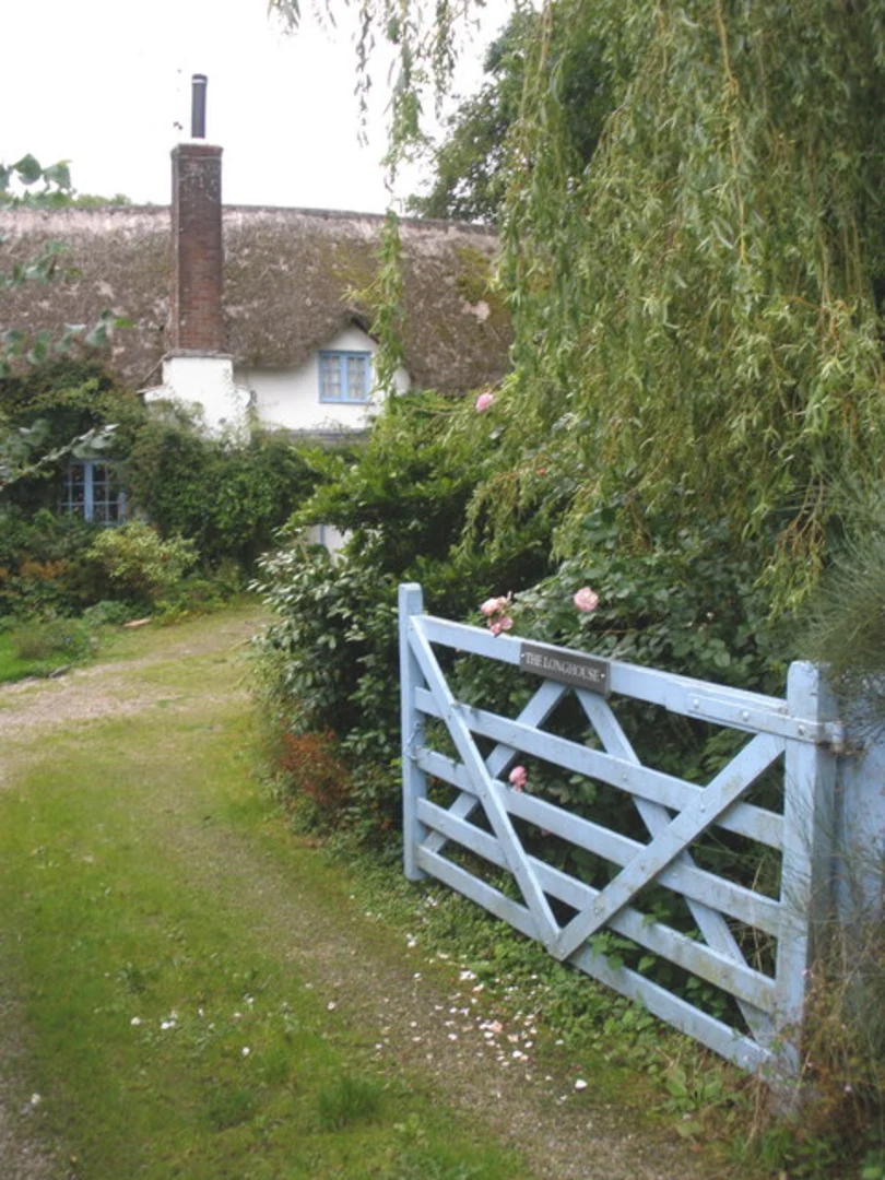 An image depicting the trail Tedburn St Mary and Oldridge Wood Loop and its surrounding area.