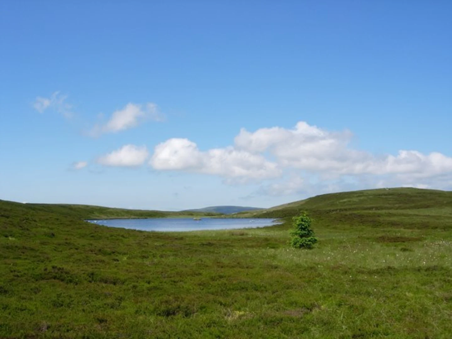 An image depicting the trail Urie Loch Trail and its surrounding area.