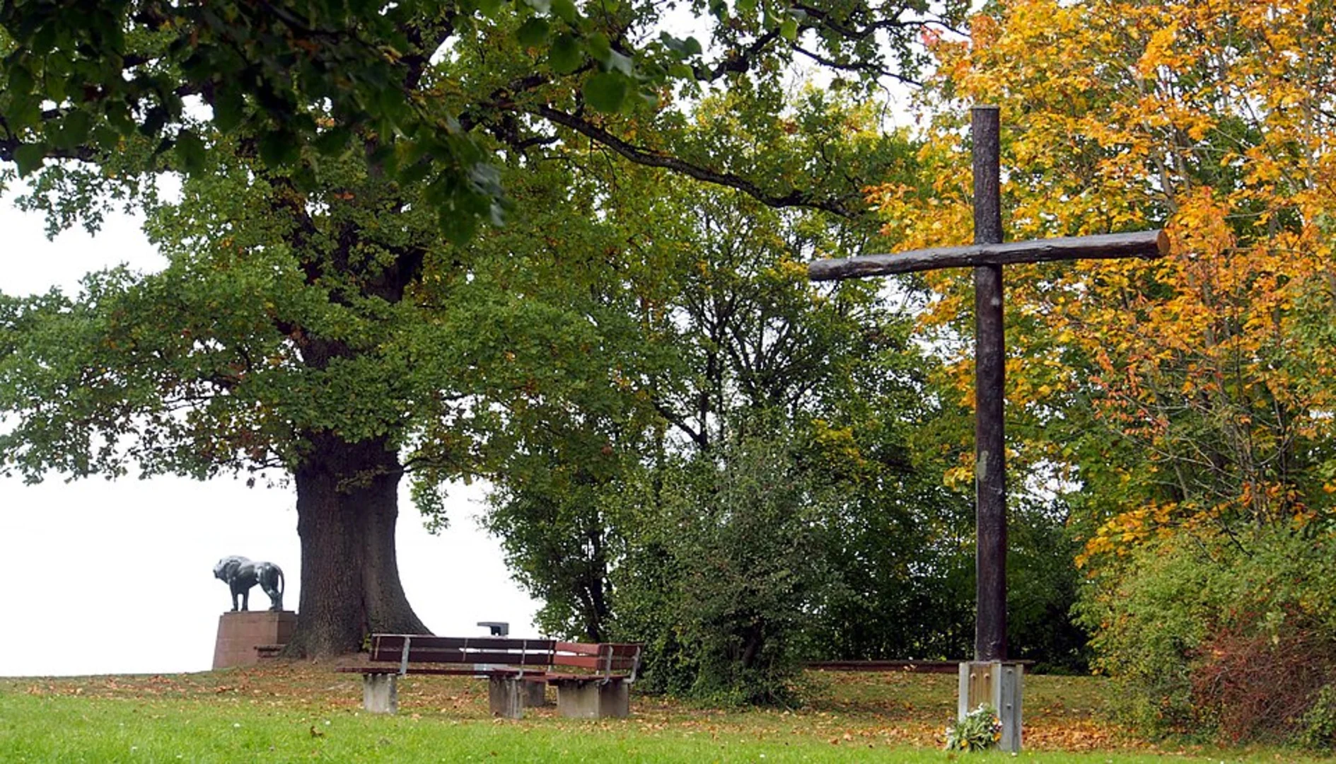 An image depicting the trail Schillerhöhe Loop and its surrounding area.
