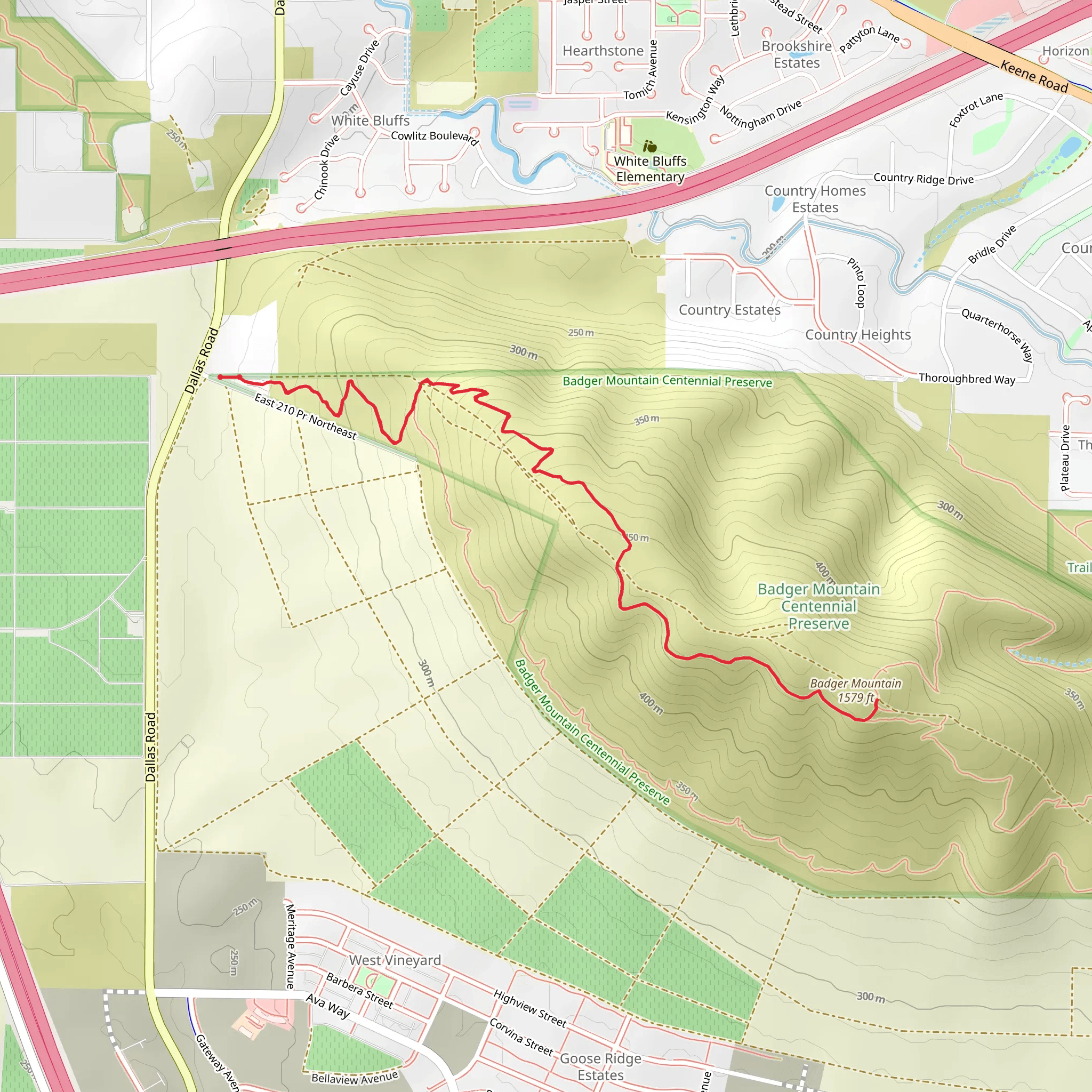 Badger Mountain via SKyline Trail mobile static map