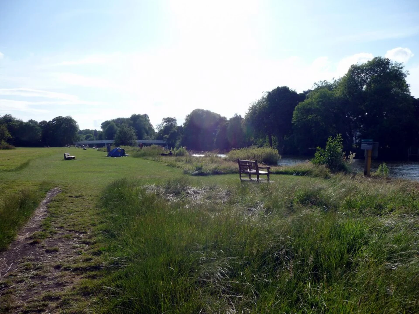 An image depicting the trail Whitchurch Bridge and Pangbourne Meadows Loop and its surrounding area.