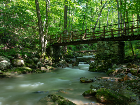 An image depicting the trail Roaring Run Loop Trail and its surrounding area.