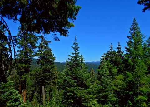 An image depicting the trail Twin Pillars Trail and its surrounding area.