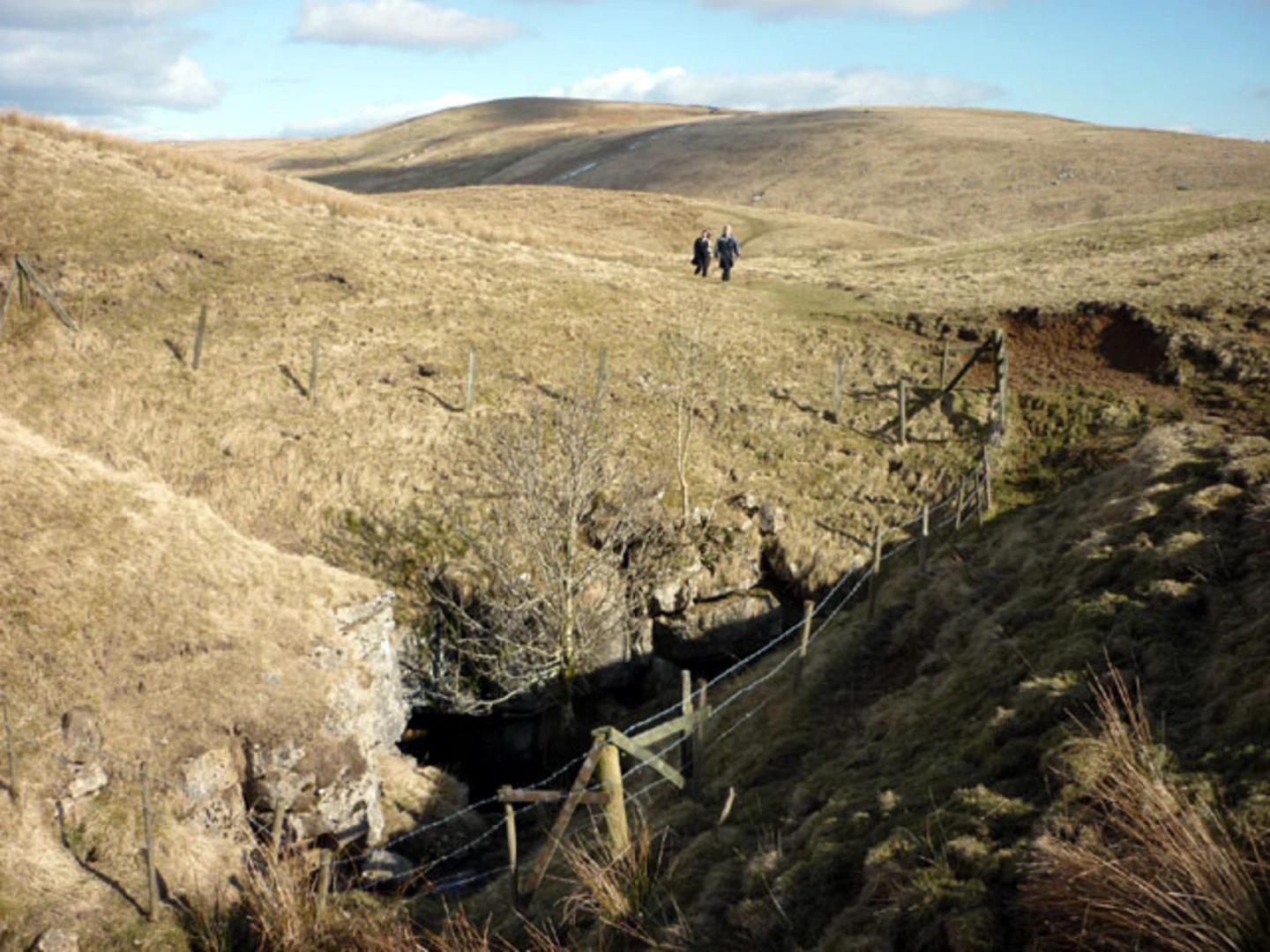 An image depicting the trail Weags Bridge Manifold Valley Loop and its surrounding area.