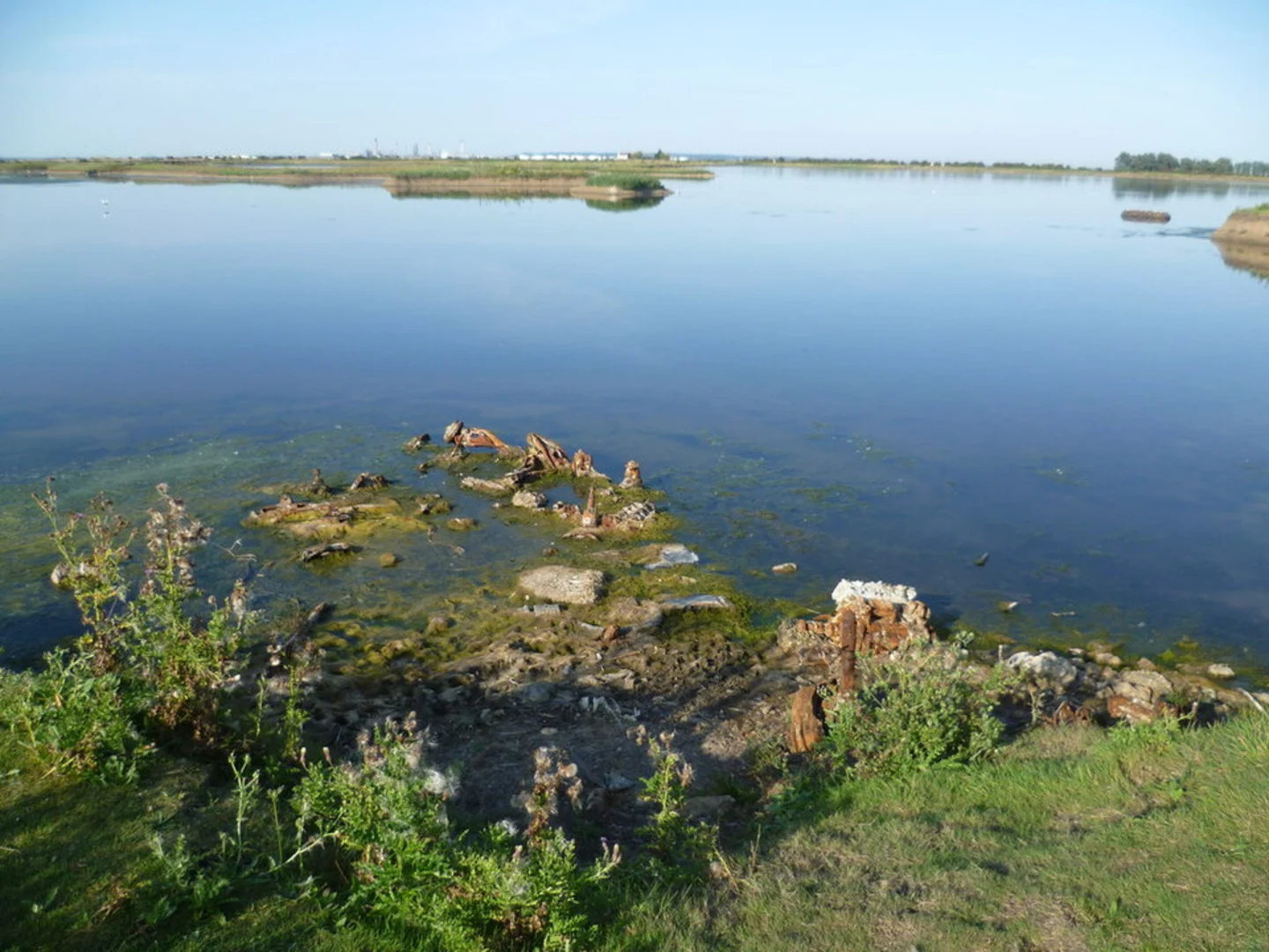 An image depicting the trail Cliffe Pools Nature Reserve and its surrounding area.