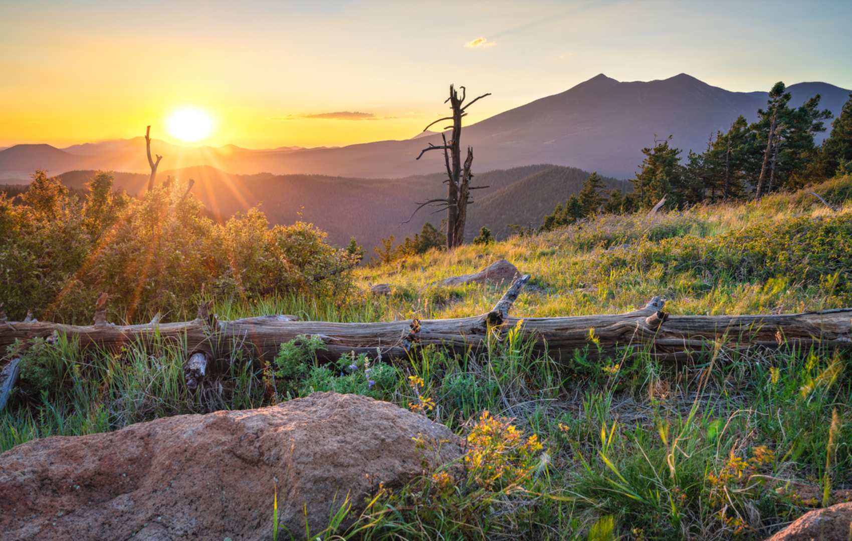 An image depicting the trail Elden Mountain via Upper Oldham Trail and its surrounding area.