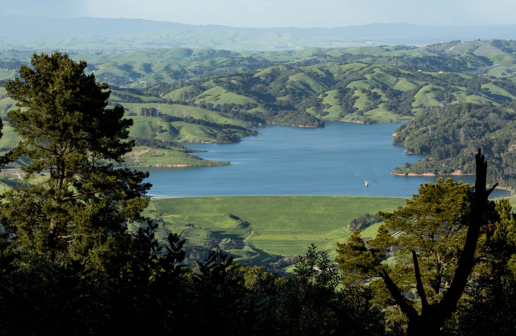 An image depicting the trail Briones Crest Trail and Briones Peak Loop and its surrounding area.