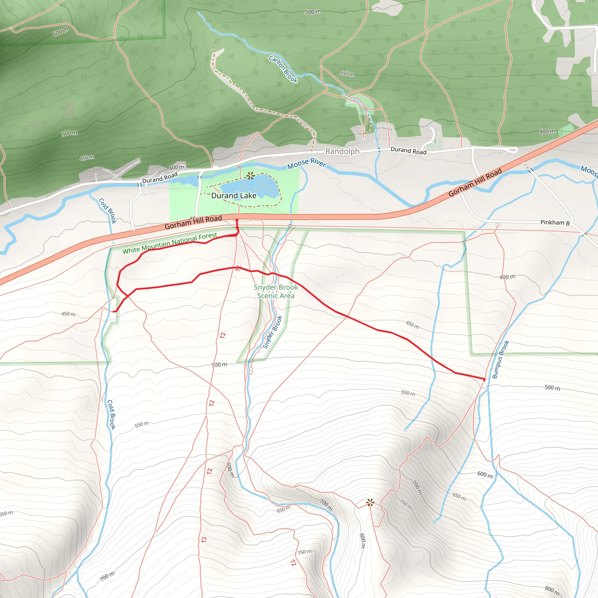 Sylvan Way via Amphibrach Trail mobile static map