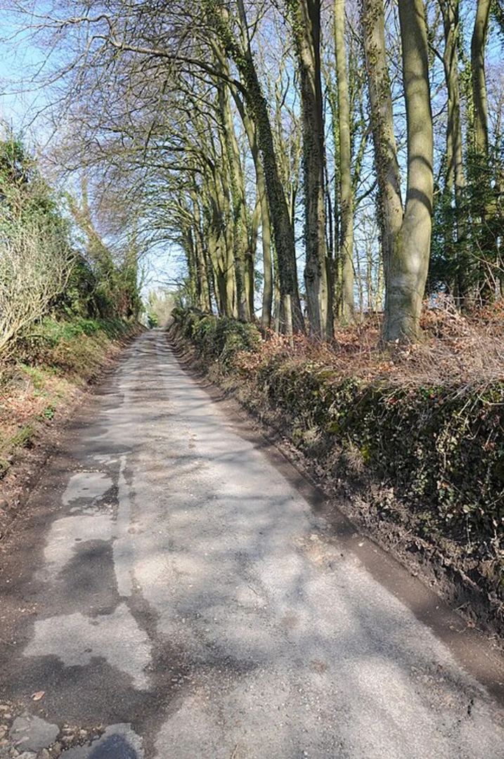 An image depicting the trail Chalford and the Toadsmoor Valley Walk and its surrounding area.