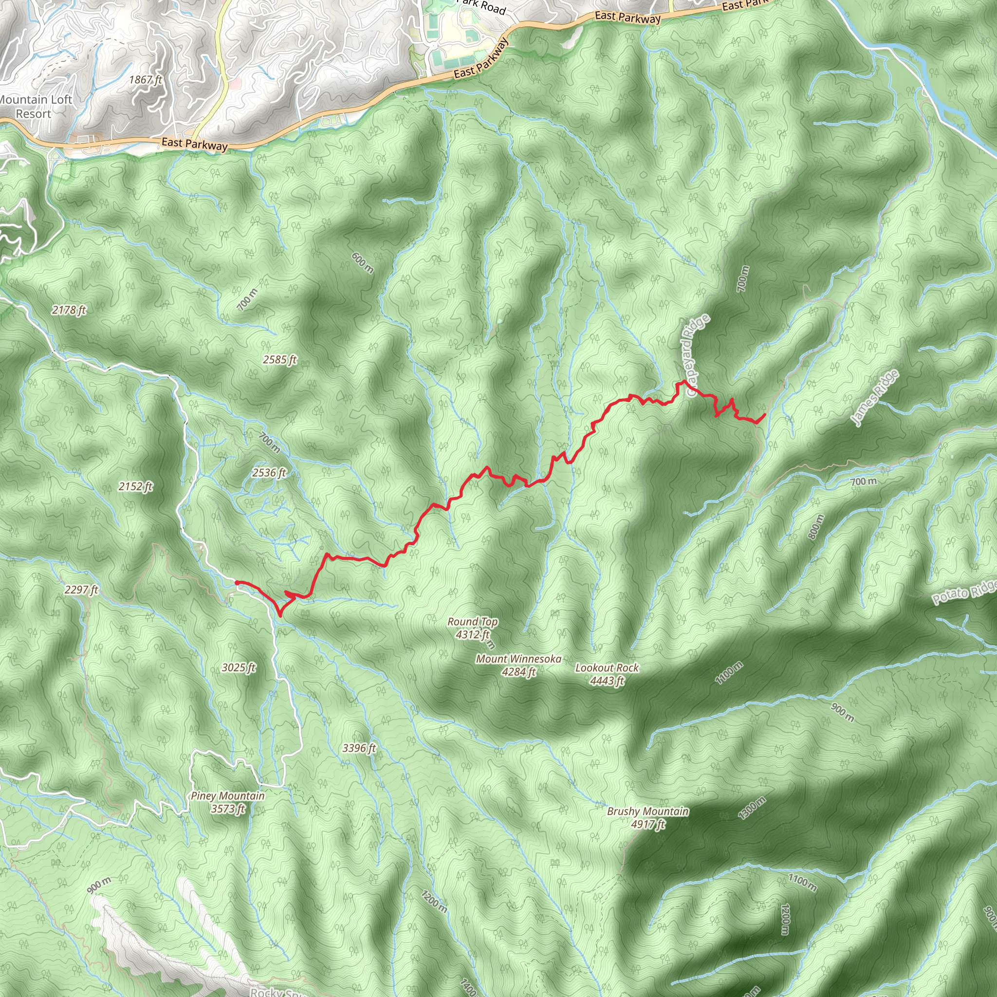 Grapeyard Ridge Trail to Engine Creek mobile static map