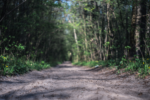 Weg tot de Wetenschap, Voorveldse Pad and Vuursche Pad Loop