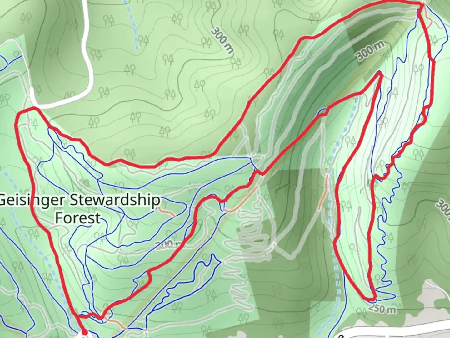 An image depicting the trail Geisinger Stewardship Forest Loop and its surrounding area.