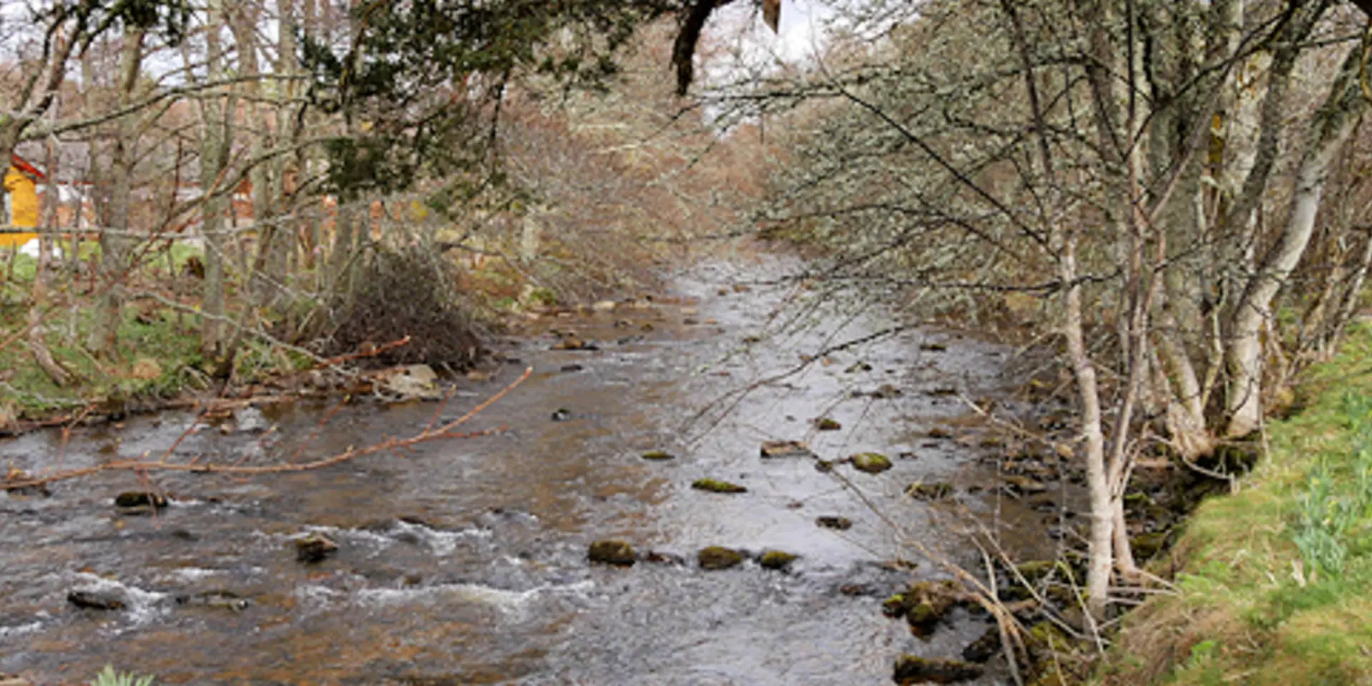 An image depicting the trail Nethy Bridge Path - Riverside Trail and its surrounding area.
