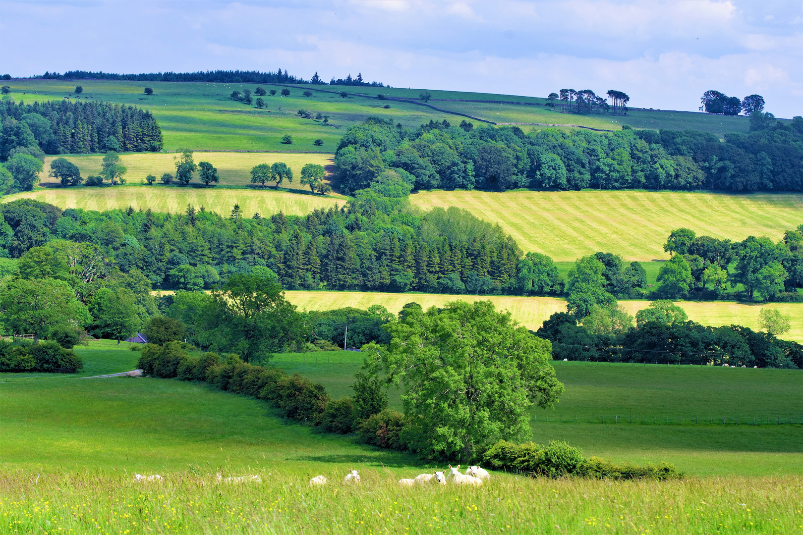 An image depicting the trail Eden Valley Loop from Keld and its surrounding area.