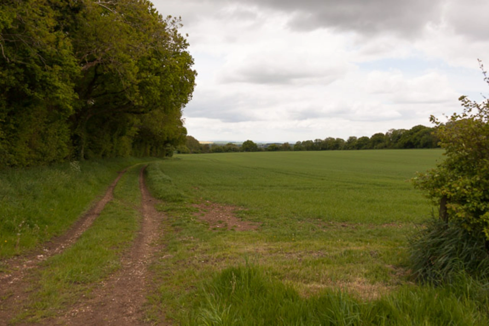 An image depicting the trail Soberton Heath Loop Walk and its surrounding area.