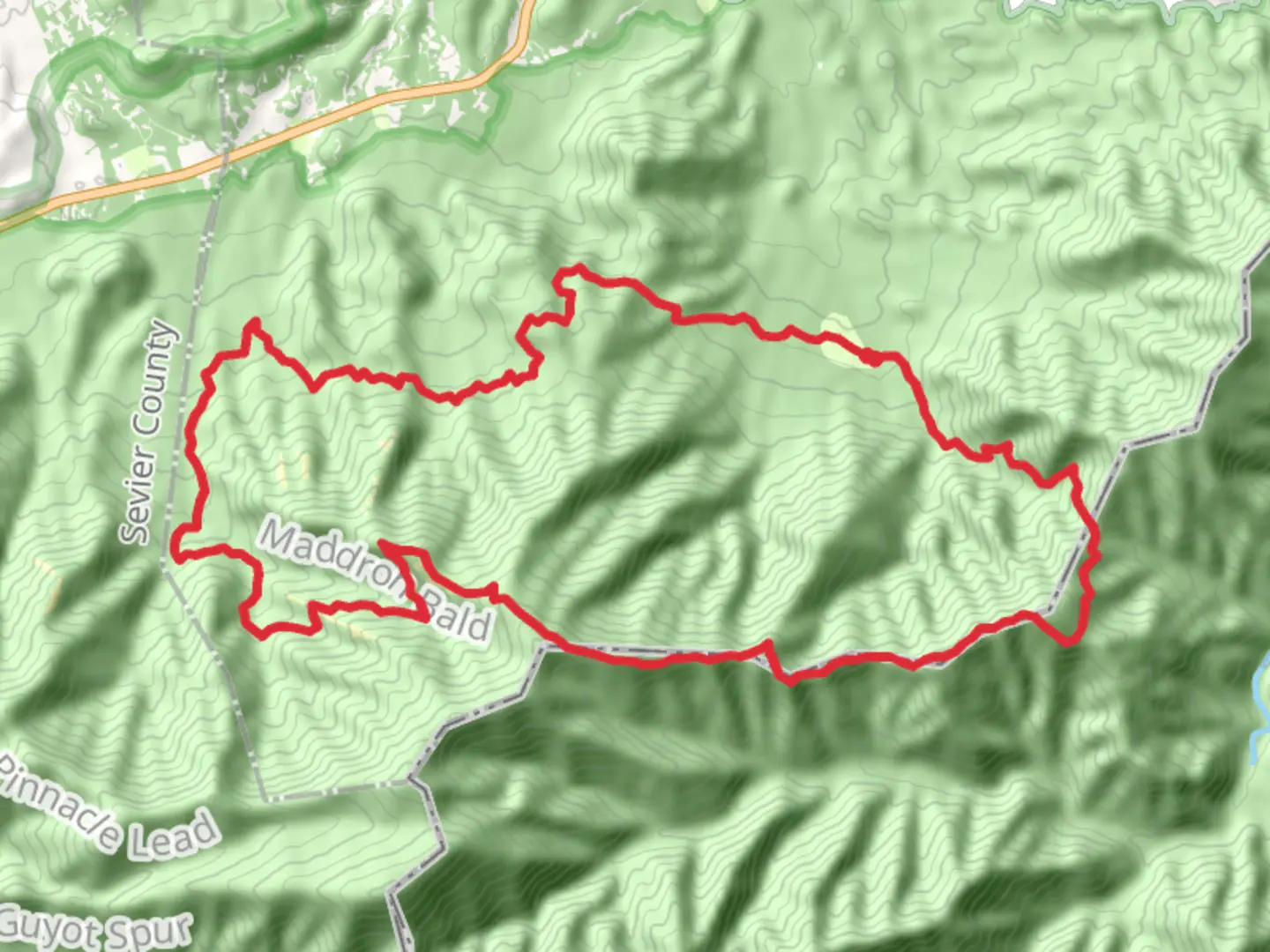 An image depicting the trail Appalachian Trail, Maddron Bald Trail and Low gap Trail and its surrounding area.