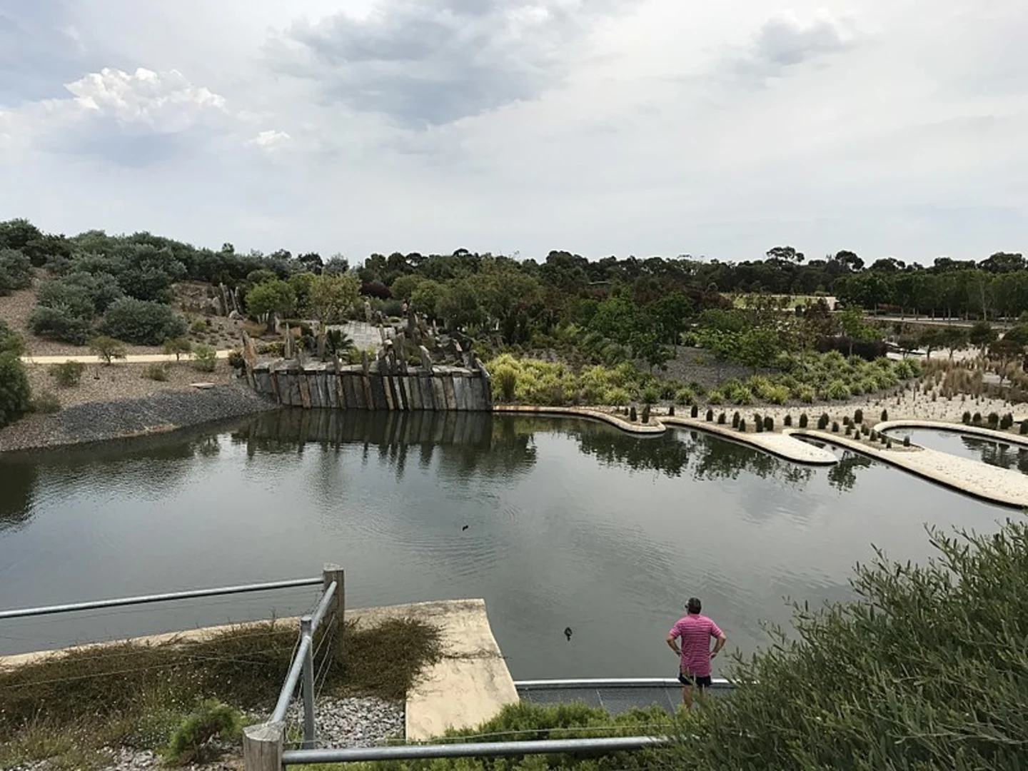 An image depicting the trail Cranbourne Gardens Walk and its surrounding area.