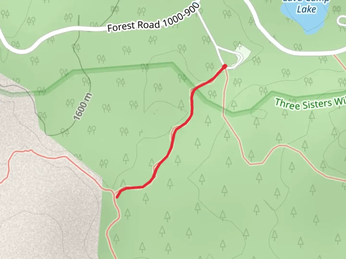 An image depicting the trail Lava Camp Lake Trail and its surrounding area.