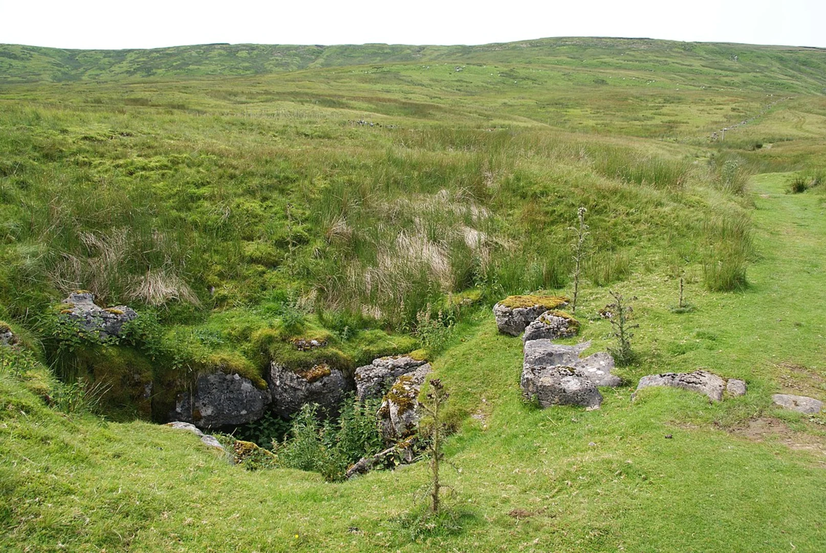An image depicting the trail Settle East Loop and its surrounding area.