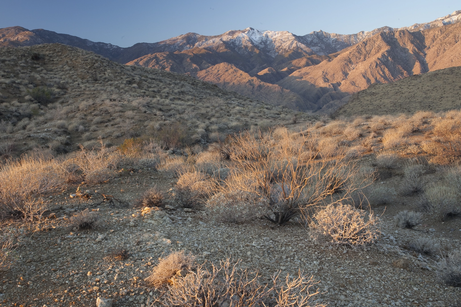An image depicting the trail Marion Mountain, San Jacinto Peak and Wellman Divide Loop Trail and its surrounding area.