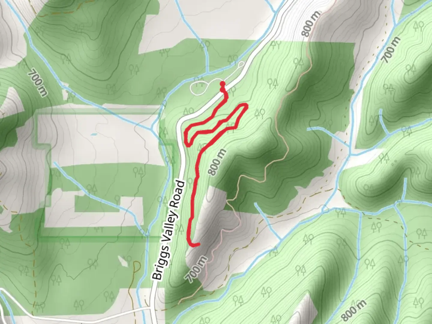 An image depicting the trail Big Pine Spur Trail and its surrounding area.