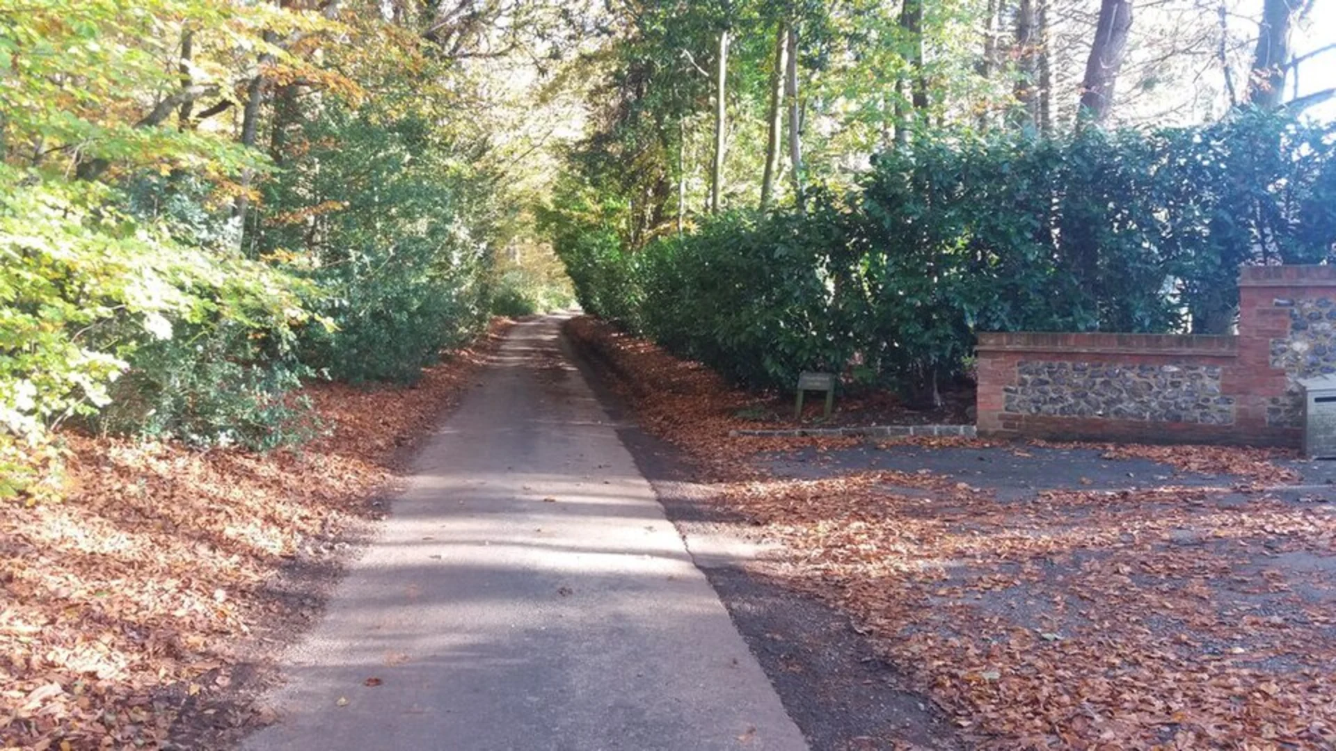 An image depicting the trail Kingwood Common, Hazel Grove and New Copse Loop and its surrounding area.