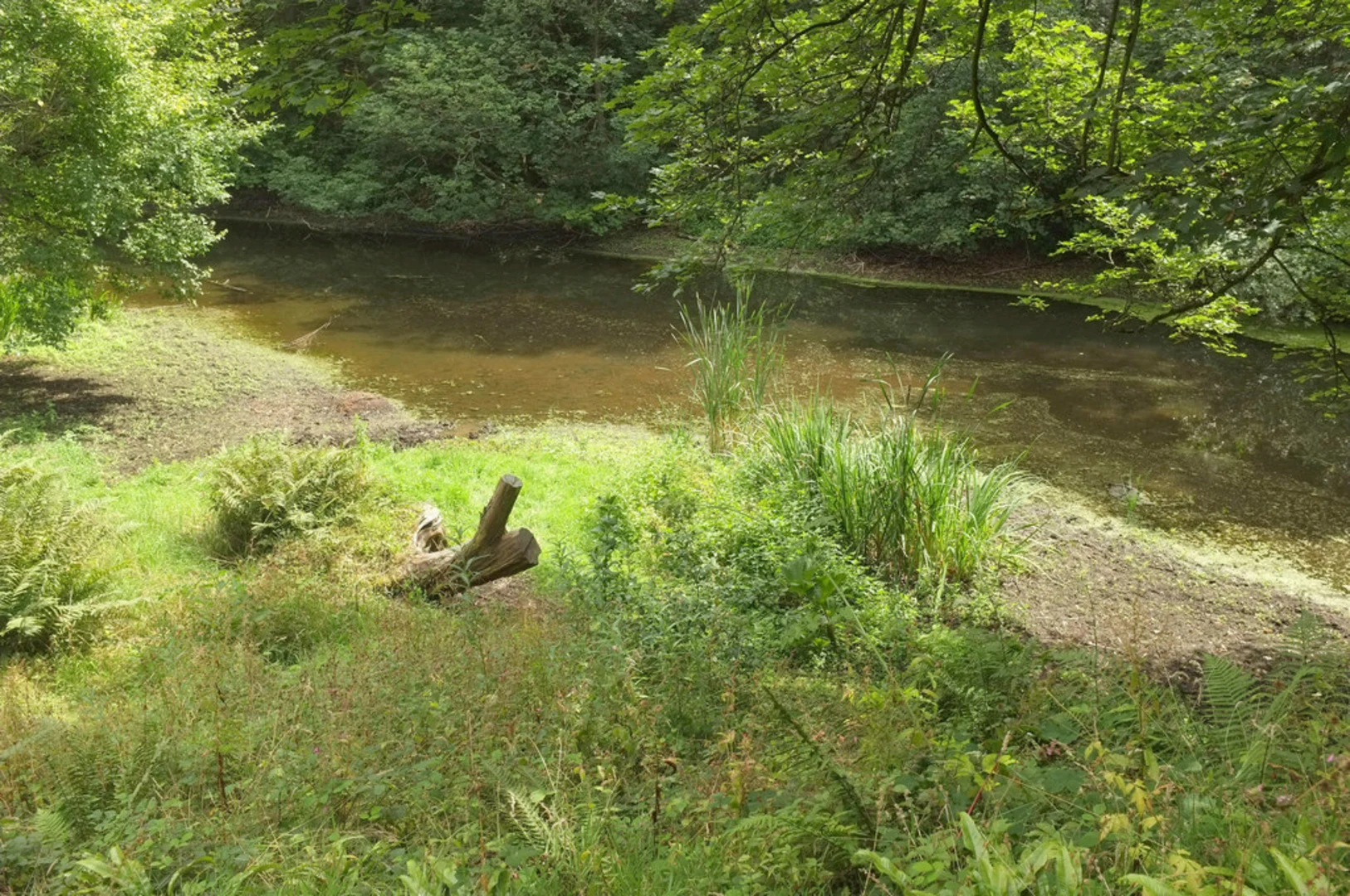 An image depicting the trail Badger Dingle and its surrounding area.
