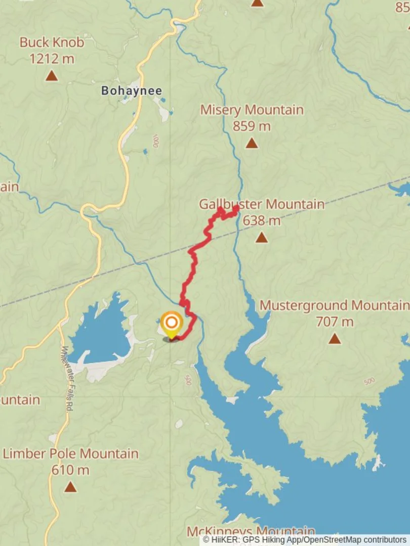 An image depicting the trail Thompson River via Foothills Trail and its surrounding area.