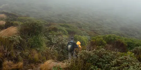 An image depicting the trail Pouakai Crossing and its surrounding area.