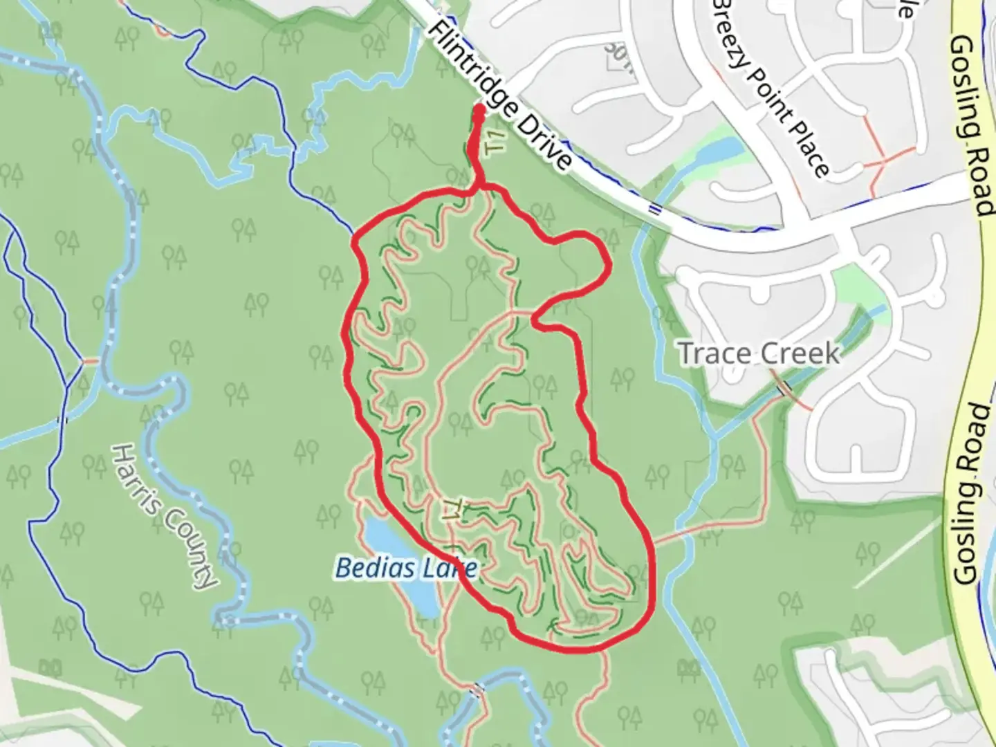 An image depicting the trail Fitness Loop and its surrounding area.