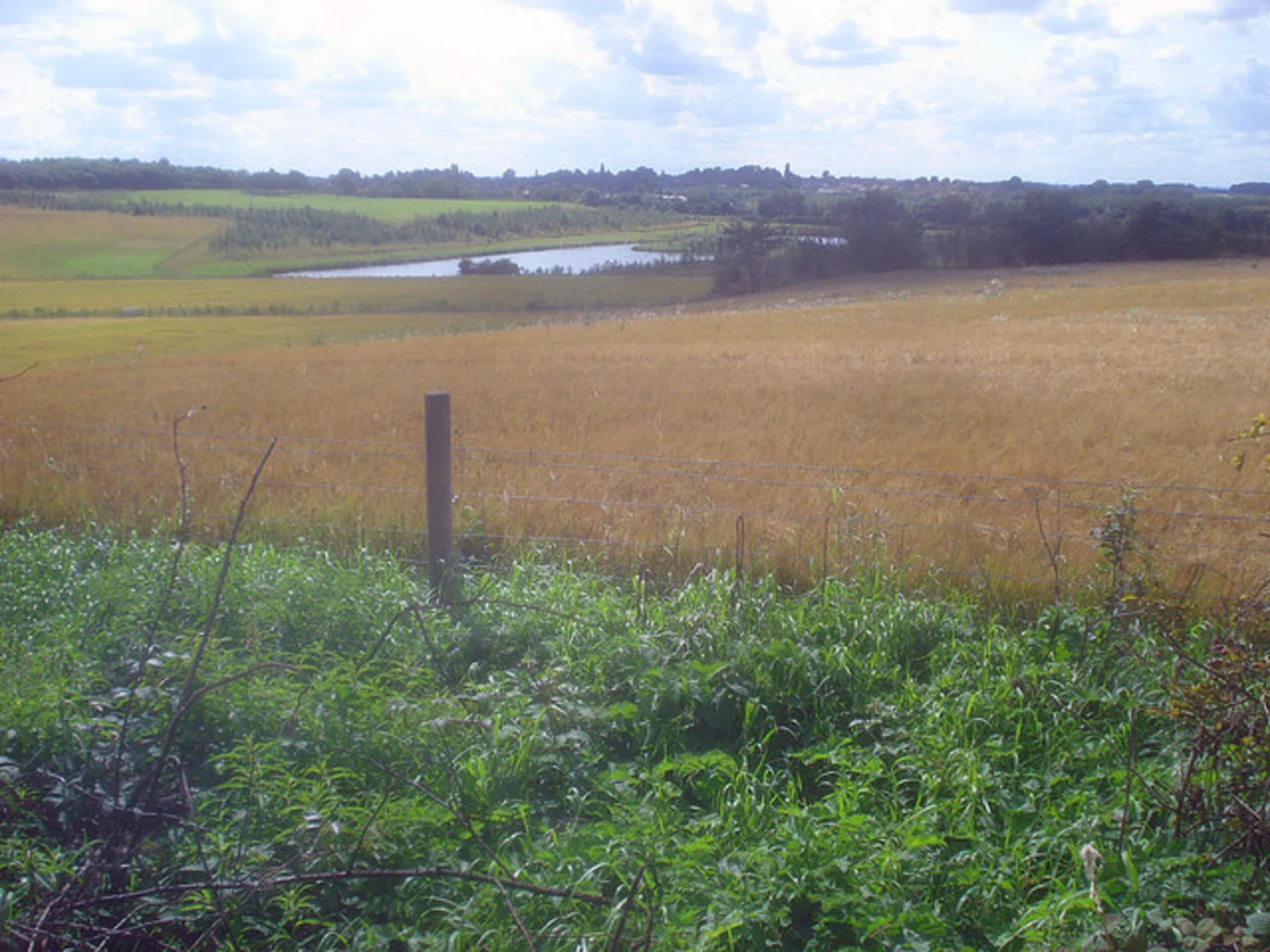 An image depicting the trail Shellbrook Woods and Hicks Lodge Loop Trail and its surrounding area.