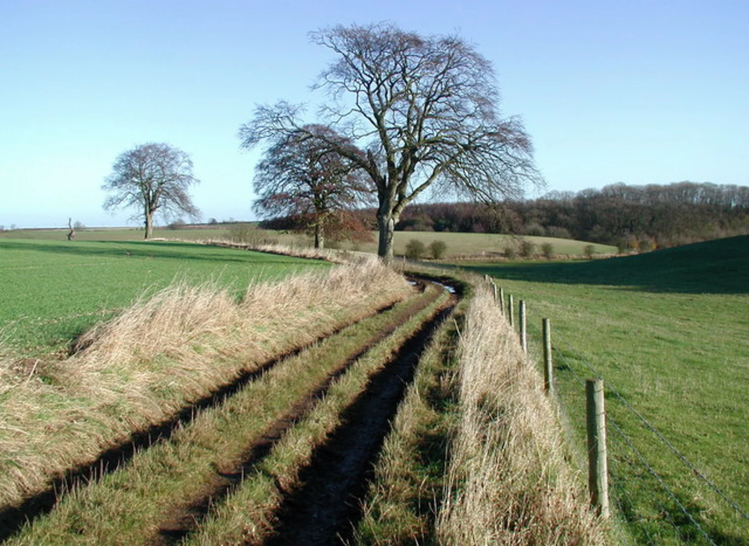 An image depicting the trail Welton and Turtle Hill Loop and its surrounding area.