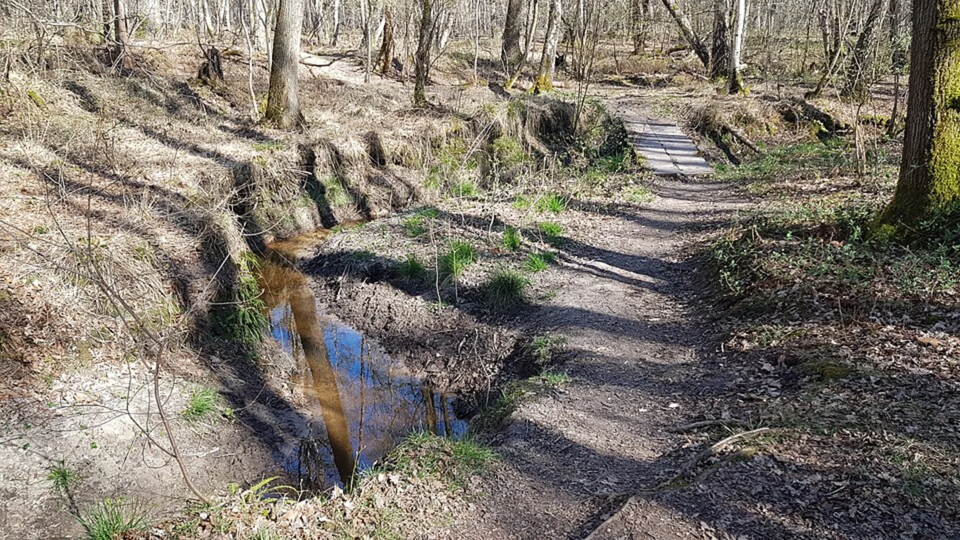 An image depicting the trail Leiffenderhof, Grotte Allee and Heringsbosch via Herings Weg and its surrounding area.