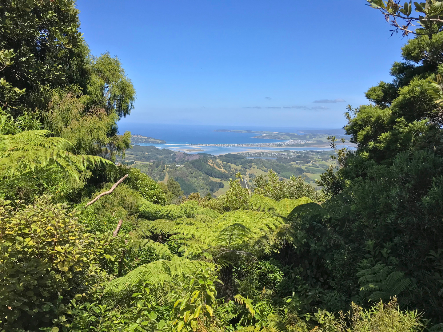 An image depicting the trail Mt Tamahunga Walkway and its surrounding area.