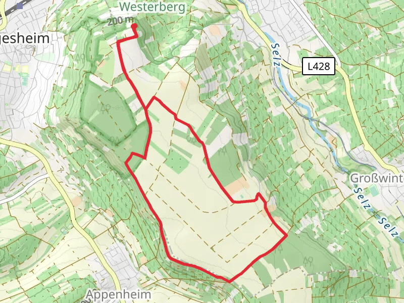 Hochwald Loop via Schloss Westerhaus