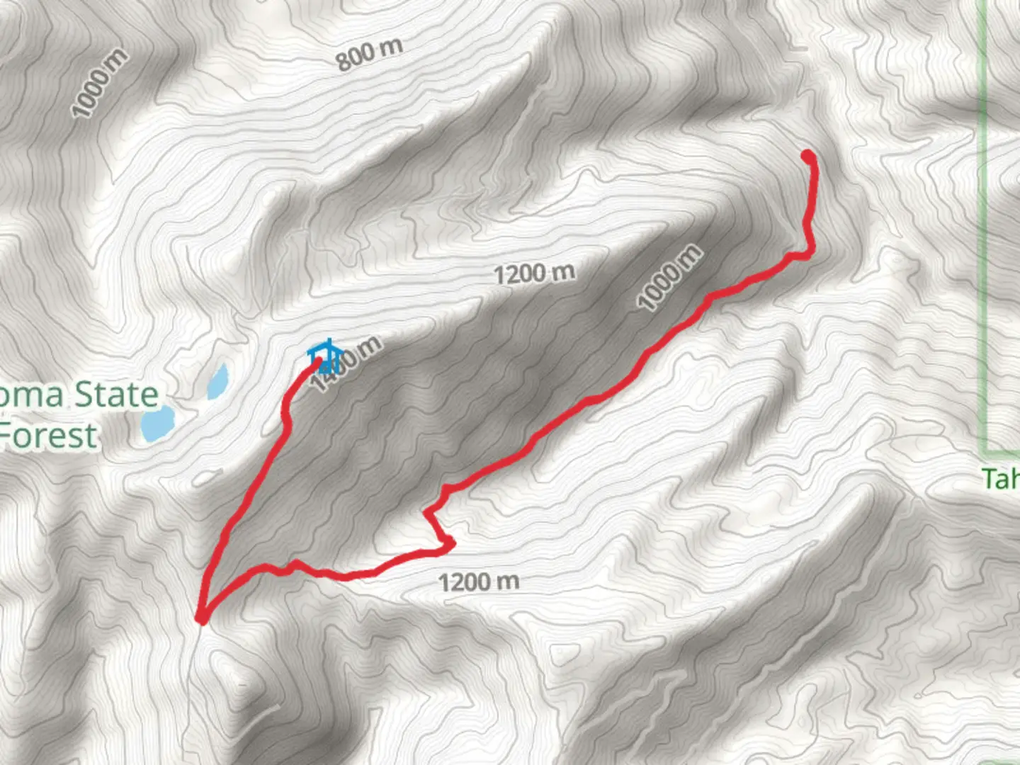 An image depicting the trail Walk to High Hut and its surrounding area.