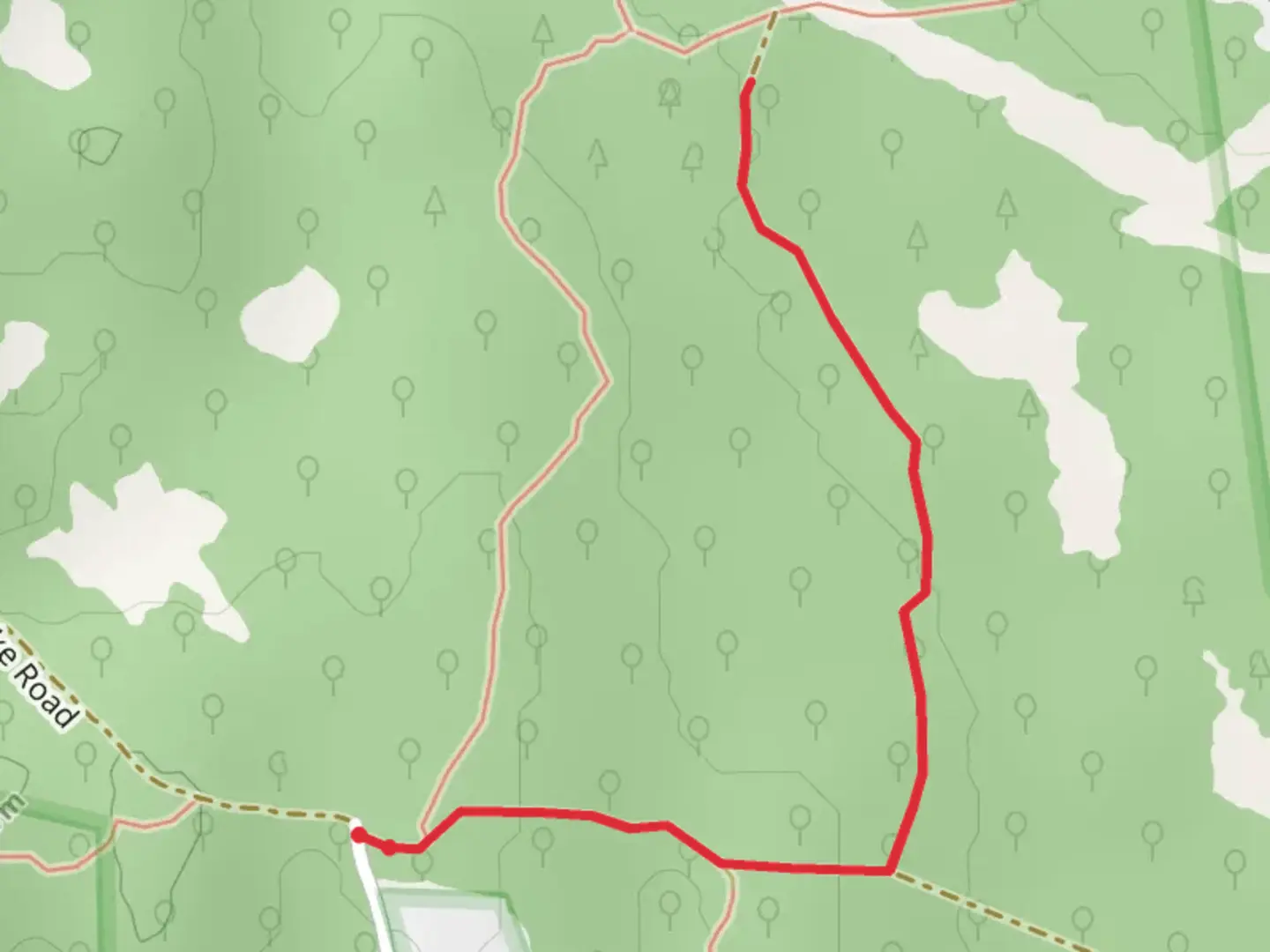 An image depicting the trail Spring Lake Road Walk - East and its surrounding area.