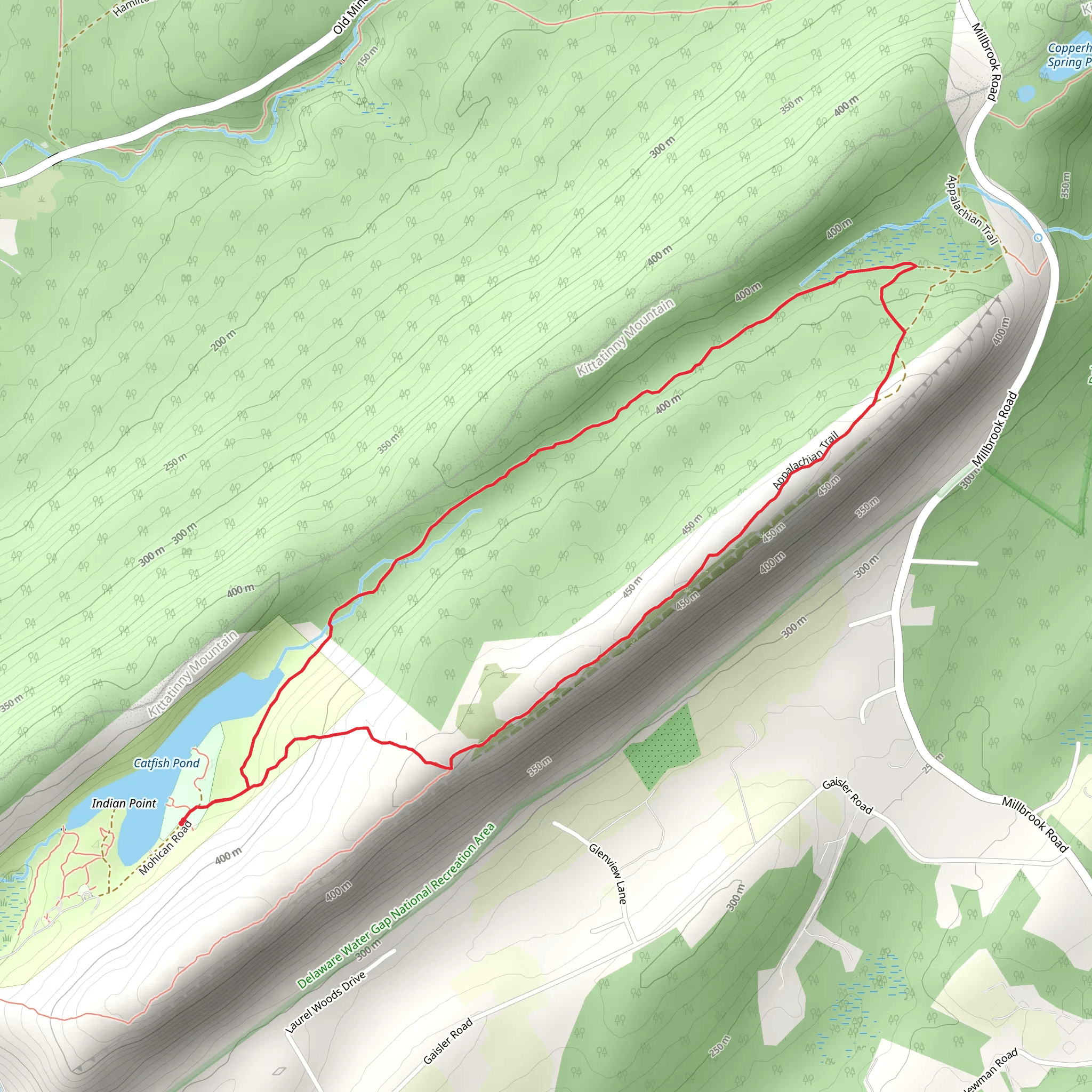 Appalachian and Rattlesnake Swamp Loop Trail mobile static map