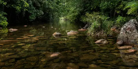 An image depicting the trail Jourama Falls Track and its surrounding area.