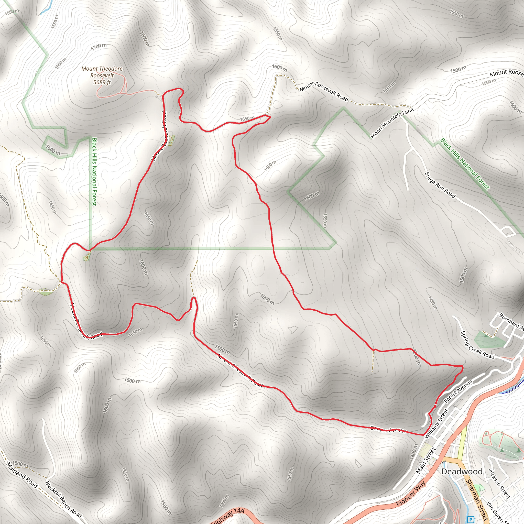 Mount Theodore Roosevelt Easrrtside Loop mobile static map