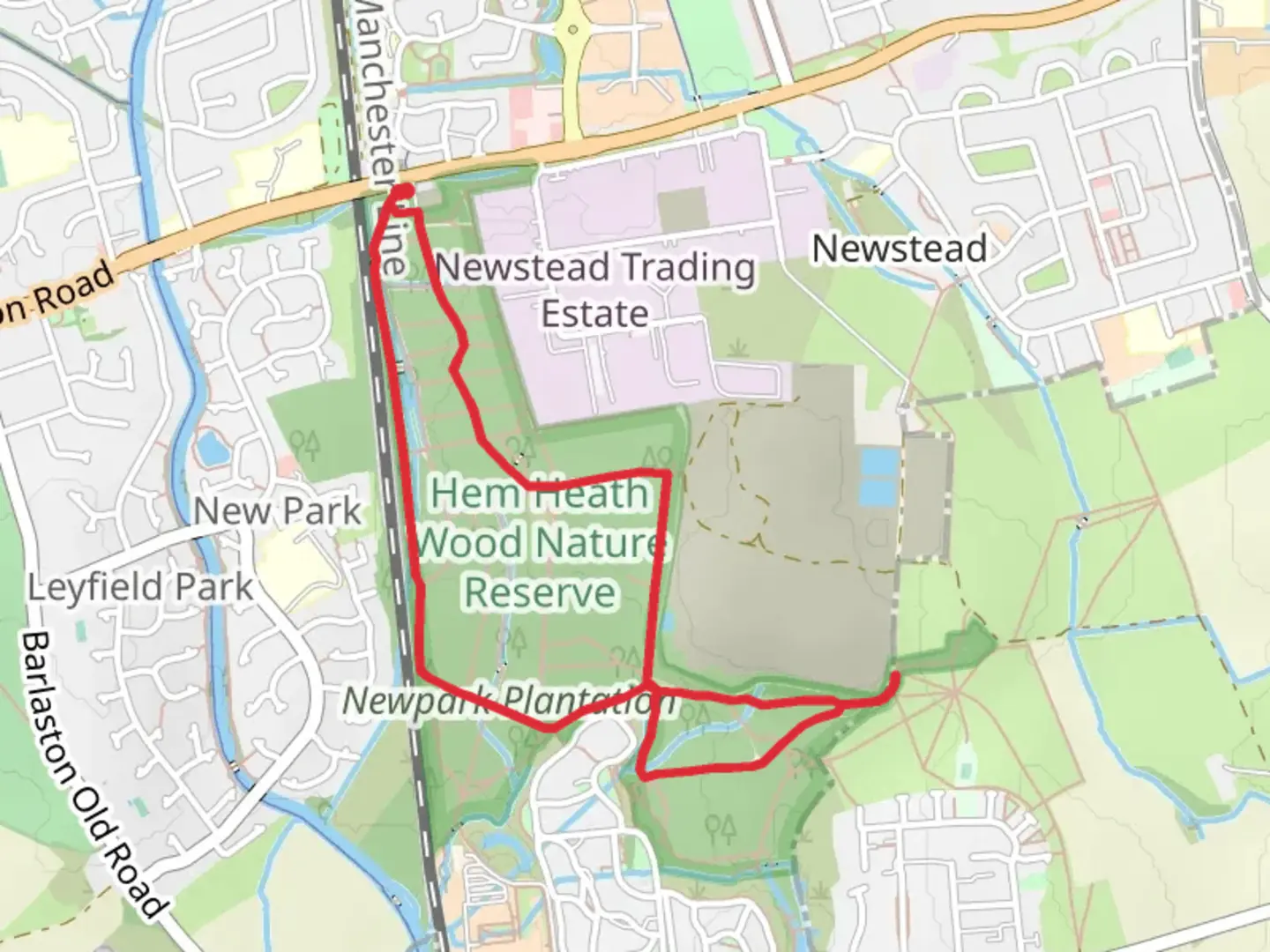 An image depicting the trail Newpark Plantation and Newstead Wood loop and its surrounding area.