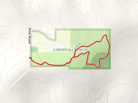 Ice Age Loop Trail - Pine Road