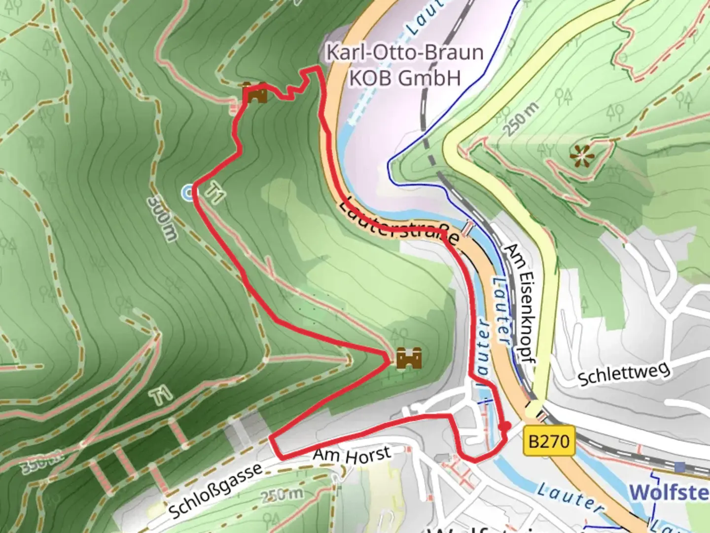 An image depicting the trail Wolfsweg Loop and its surrounding area.