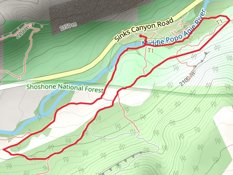 Catalyst - Popo Agie Nature Loop Trail