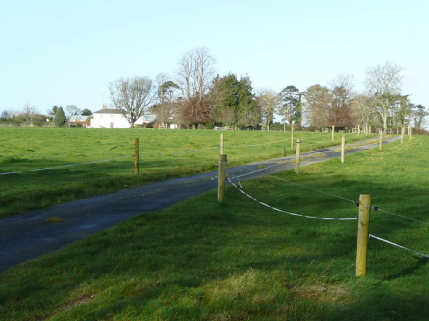 An image depicting the trail Coolgreany Ballyfad Wood Old Mass Path Trail and its surrounding area.