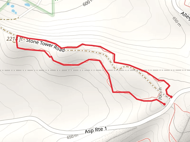 Lookout Tower and Summit Trail Camp Loop